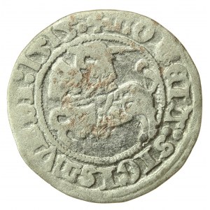 Zygmunt I Stary, Półgrosz 1515, Wilno (856)