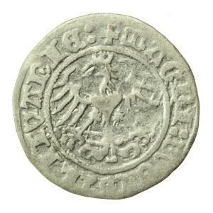 Zygmunt I Stary, Półgrosz 1515, Wilno (856)