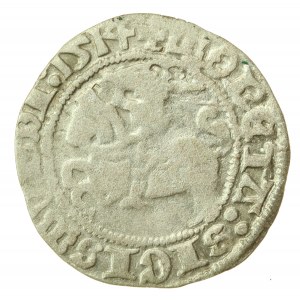 Zygmunt I Stary, Półgrosz 1514, Wilno (859)