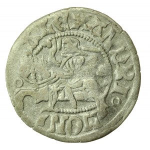 Alexander Jagiellonian, half-penny, Vilnius-Renaissance (883)
