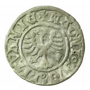 Alexander Jagiellonian, half-penny, Vilnius-Renaissance (883)