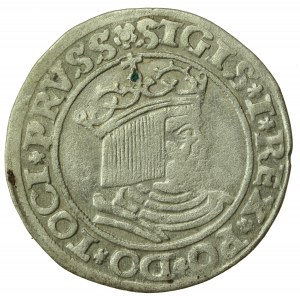 Sigismund I the Old, penny 1530, Torun - PRVSS/PRVSS (887)