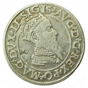 Zygmunt II August, czworak 1568, Wilno, LI/LITV (893)