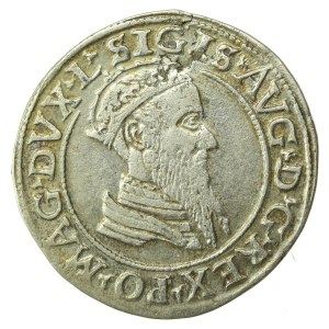 Zygmunt II August, czworak 1568, Wilno, L/LITV (895)