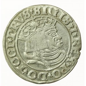 Zygmunt I Stary, grosz 1531, Toruń - PRVS/PRVSS (898)