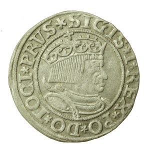 Sigismund I the Old, penny 1533, Toruń PRUS/PRUSSIE (905)