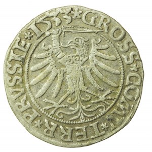 Sigismund I the Old, penny 1533, Toruń PRUS/PRUSSIE (905)