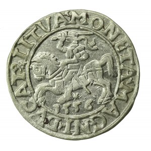 Sigismund II Augustus, Half-penny 1556 Vilnius, LI/LITVA(915)