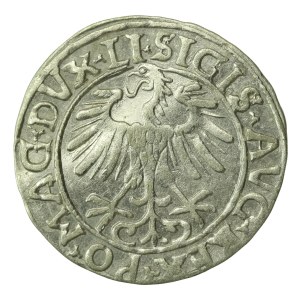 Sigismund II Augustus, Half-penny 1556 Vilnius, LI/LITVA(915)