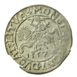 Zygmunt II August, Półgrosz 1557, Wilno, L/LITVA (707)