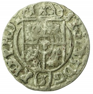 Sigismond III Vasa, Półtorak 1623, Bydgoszcz (753)