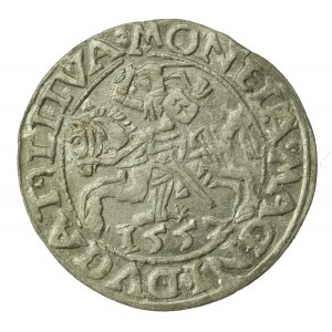 Zygmunt II August, Półgrosz 1557, Wilno - trójlistki - Behm (761)