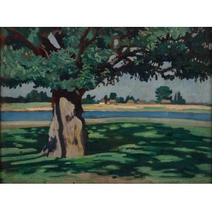 Tchaikovsky Stanislaw (1878 - 1954), Oak on the Nemunas (Novogrudok), 1936