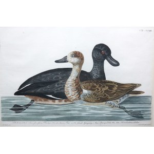 According to PETER PAILLOU (ca. 1720-1790), DUCKY CROSS AND CIRCLE, 1766/1779