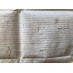 CARLO V. Privilegio a favore di Gasparo Pignatta, documento su pergamena in latino. Roma, 29 marzo 1576