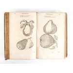 OVIDIO MONTALBANO. Dendrologia sive de Arboretum libri II. Francoforte 1690