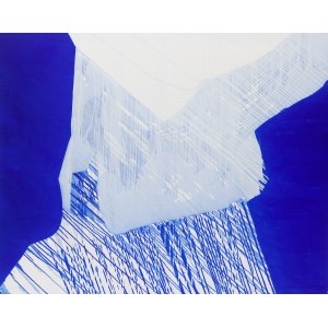 Urszula Wilk (née en 1959 à Dzierżoniów), Bluemetrie, 2021