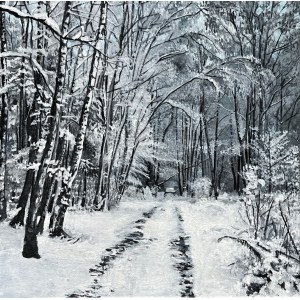 Agnieszka Paradecka-Switalska, Winter Dream from the series Notes