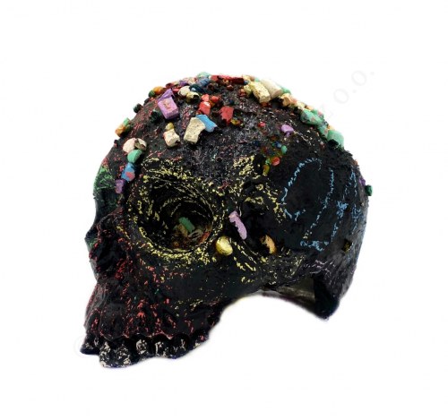 Agnieszka Rudnicka, Blackboard skull
