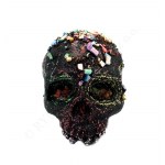 Agnieszka Rudnicka, Blackboard skull