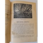 KRAWCZYŃSKI Wiesław - ŁOWIECTWO Przewodnik dla leśników zawodowych i amatorów myśliwych Wyd.1924