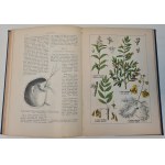 WILKOMM Maurycy - ATLAS PAŃSTWA ROŚLINNEGO 124 tablice kolorowe z 700 rysunkami roślin oraz 165 drzeworytów Wyd.1900