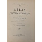 WILKOMM Maurycy - ATLAS PAŃSTWA ROŚLINNEGO 124 tablice kolorowe z 700 rysunkami roślin oraz 165 drzeworytów Wyd.1900