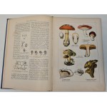 WILKOMM Maurycy - ATLAS PAŃSTWA ROŚLINNEGO 124 tablice kolorowe z 700 rysunkami roślin oraz 165 drzeworytów Wyd.1900