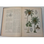 WILKOMM Maurycy - ATLAS PAŃSTWA ROŚLINNEGO 124 tablice kolorowe z 700 rysunkami roślin oraz 165 drzeworytów Wyd.1900