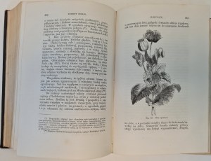 FIGUIER Ludwik - HISTORY OF PLANTS Volume II-III