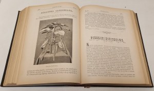 OGRODNIK POLSKI Biweekly devoted to horticulture Volume XXII-Rok XXII 1900.