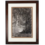 Leon Wyczółkowski (1852 Huta Miastkowska near Kielce - 1936 Warsaw), Old Spruce Tree