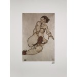 Egon Schiele (1890-1918), Nude in brown shoes