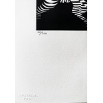 Victor Vasarely (1906-1997), Zebras