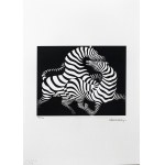 Victor Vasarely (1906-1997), Zebre