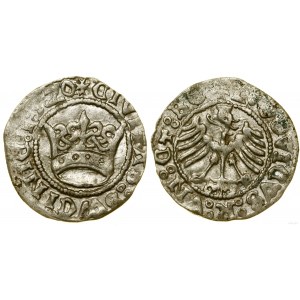 Śląsk, półgrosz, 1520, Świdnica