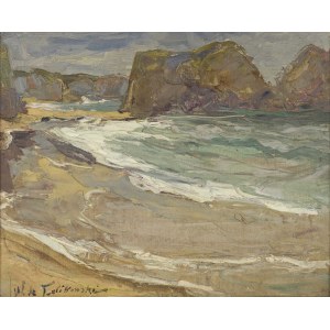 Wlodzimierz TERLIKOWSKI, The Coast