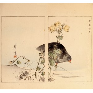 Watanabe Seitei (1851-1918), Cockapoo (water chick), Tokyo, 1890