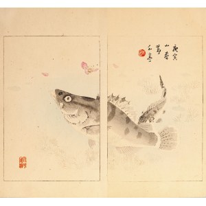 Watanabe Seitei (1851-1918), Ostriež, Tokio, 1890