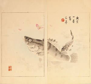Watanabe Seitei (1851-1918), Okoń, Tokio, 1890