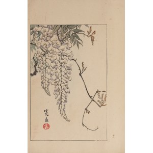 Watanabe Seitei (1851-1918), Glykine, Tokio, 1890