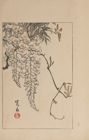 Watanabe Seitei (1851-1918), Glicynia, Tokio, 1890