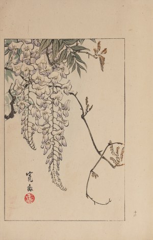 Watanabe Seitei (1851-1918), Glycine, Tokyo, 1890