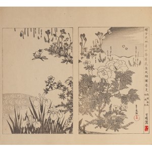 Watanabe Seitei (1851-1918), Záhrada - pivonky a kosatce, Tokio, 1890