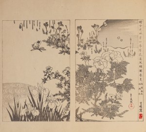 Watanabe Seitei (1851-1918), Zahrada - pivoňky a kosatce, Tokio, 1890