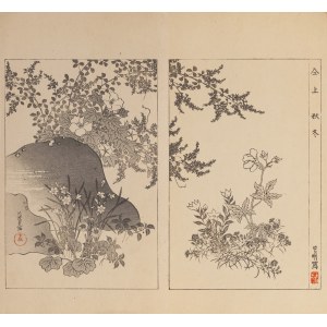 Watanabe Seitei (1851-1918), Záhrada, Tokio, 1890