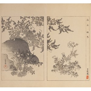 Watanabe Seitei (1851-1918), Zahrada, Tokio, 1890