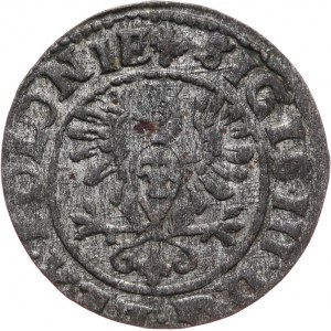 Zygmunt III Waza 1587-1632, Szeląg 1625, Bydgoszcz - Orzeł