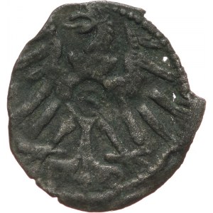 Prusy Książęce 1525-1657, Albert Hohenzollern 1525-1568, denar bez daty, Królewiec