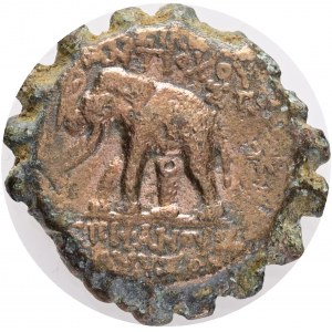 1 Dichalkon Antiochia-Drachme 143BC-142BC ANTIOCHOS VI.DIONYSOS